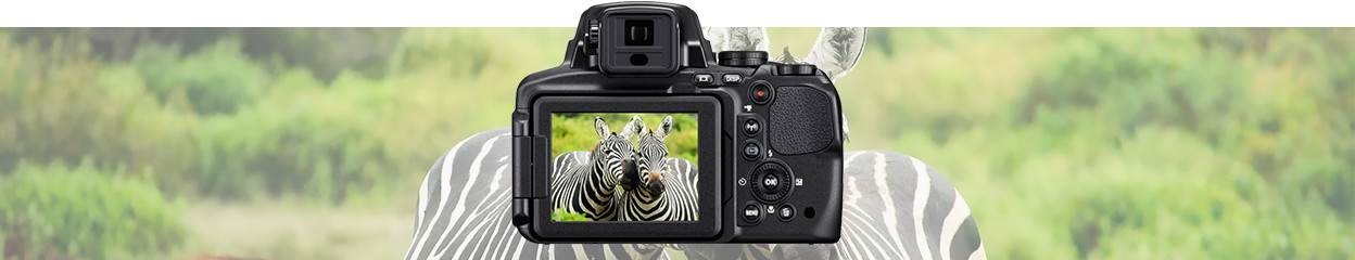 What type of lens do I use for nature and animal photography?