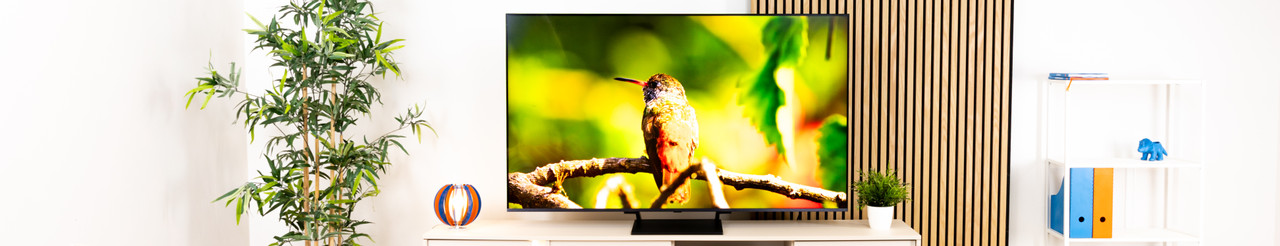 Specialisten review van de LG QNED93 EVO