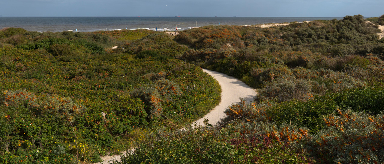 Landschapsfotografie