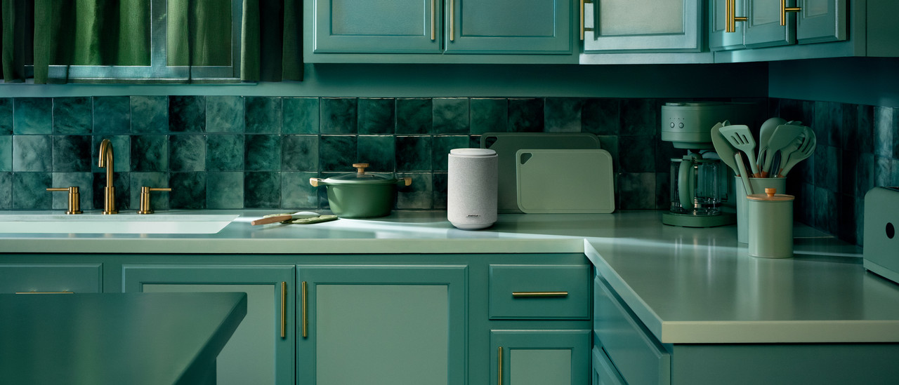 Bose Lifestyle Ultra Speaker