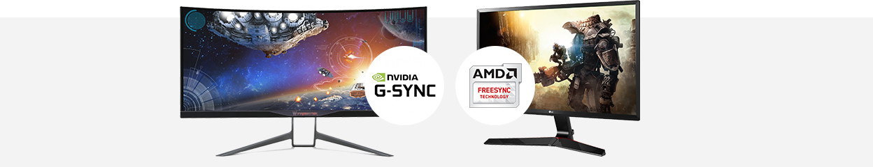 Everything on G-Sync and FreeSync