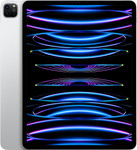 iPad Pro 12,9-inch (6e gen) Wi-Fi + Cellular [2022] in zilver