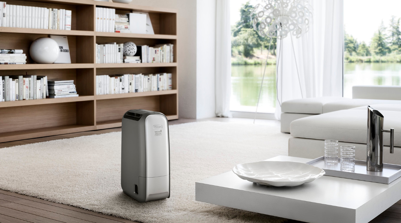 Dehumidifier for the basement or shed