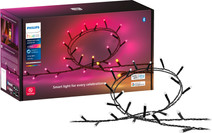 Philips Hue Festavia lichtsnoer - 20 meter - 250 LEDs