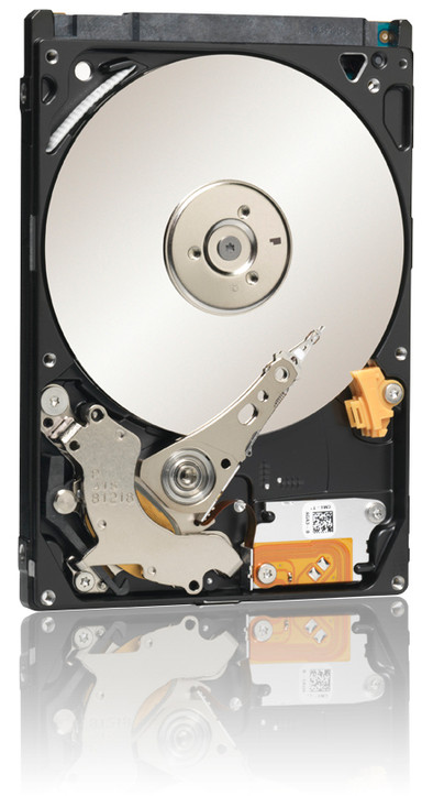 Seagate Momentus ST9250410AS 250 GB is nooit meer leverbaar