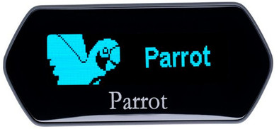 Parrot Display MKi9100 is nooit meer leverbaar
