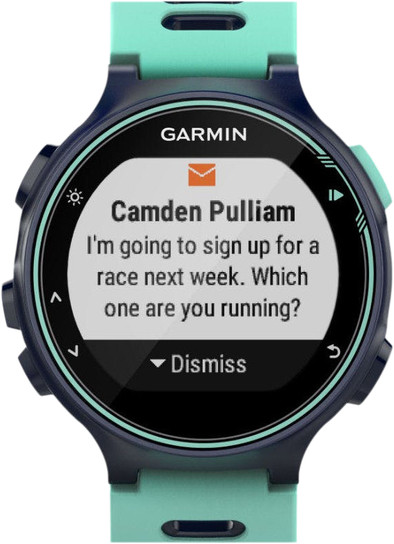 Garmin Forerunner 735XT Frost Blue is no longer available