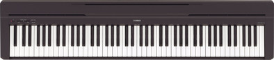 Yamaha P-45 Black is no longer available