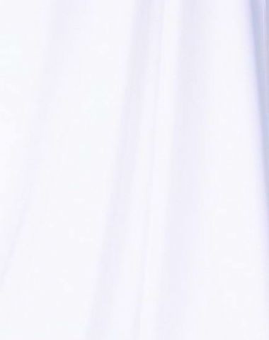 Falcon Eyes Achtergronddoek BCP-01 2,9 x 5 m Wit Uitwasbaar is nooit meer leverbaar