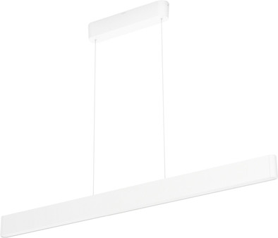 Philips Hue Ensis Hanglamp White &amp; Colour Wit is nooit meer leverbaar