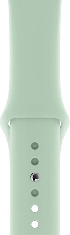 Apple Watch 42/44mm Silicone Watch Strap Sport Beryl is no longer available