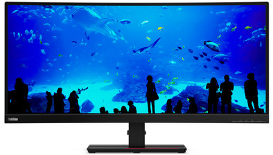 Lenovo ThinkVision T34w-20 is nooit meer leverbaar