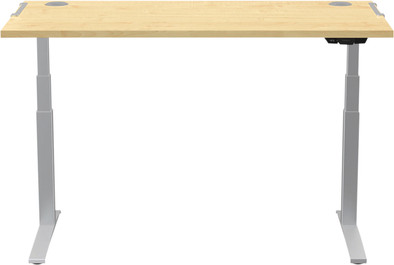 Fellowes Levado Zit Sta Bureau 140 x 80 Zilver/Esdoorn is nooit meer leverbaar