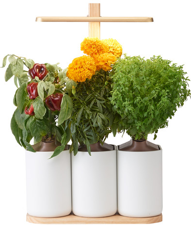 Pret a Pousser Indoor Garden Lilo Edition is nooit meer leverbaar