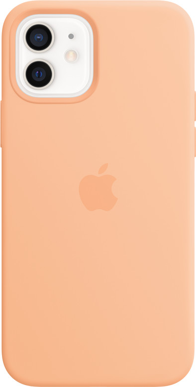 Apple iPhone 12 12 Pro Silicone Back Cover with MagSafe