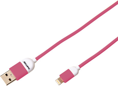 Pantone Usb A naar Lightning Kabel 1,5m Roze is nooit meer leverbaar