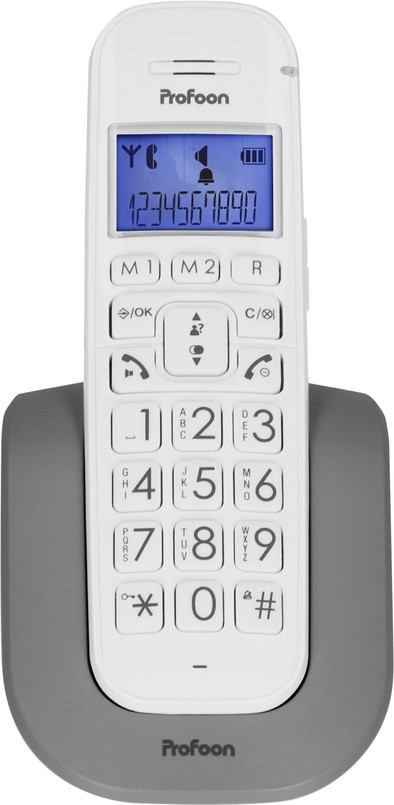 Profoon PDX-2608 White is no longer available