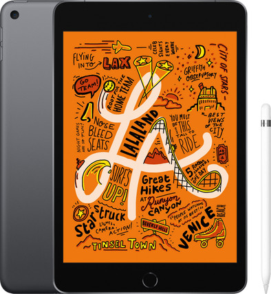 Apple iPad Mini 5 256 GB Wifi Space Gray + Stylus is nooit meer leverbaar
