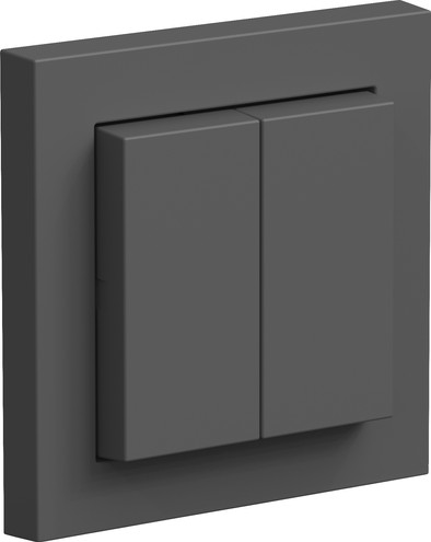 Senic Friends of Hue Wall Switch Anthracite is no longer available