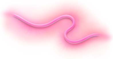WiZ Lightstrip voor buiten - Gekleurd en wit licht - 5m is nooit meer leverbaar