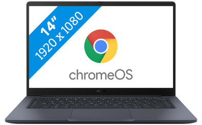 ASUS Chromebook CX1405CKA-S60110 is nooit meer leverbaar