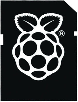 Raspberry Pi 8GB Micro SD Card NOOBS 1.4 is nooit meer leverbaar