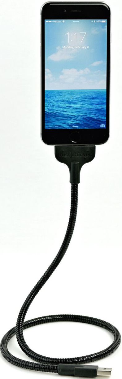 Fuse Chicken Lightning Cable 60cm Black is no longer available