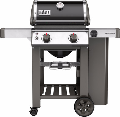 Weber Genesis II E-210 GBS Black is no longer available