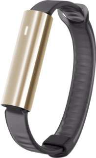 Misfit Ray Polished Gold/Zwart Sport Band is nooit meer leverbaar