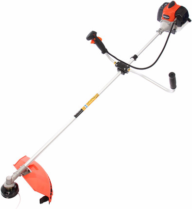 Hitachi CG31EBS (P) (LA) is no longer available