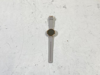 Garmin Lily Rose Gold is no longer available