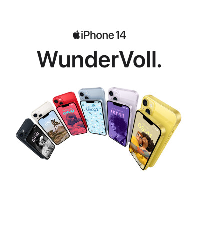 Supplier information-thumbnail