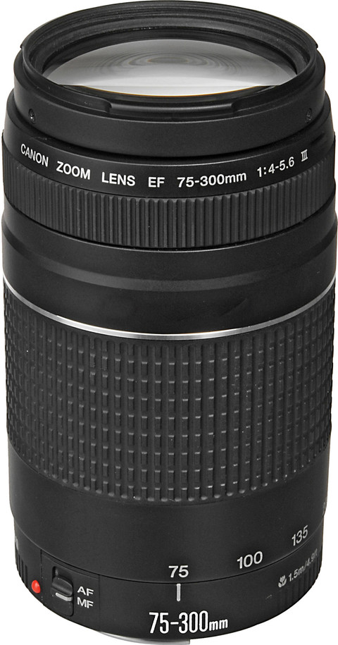 Canon EF 75-300mm f/4.0-5.6 III null