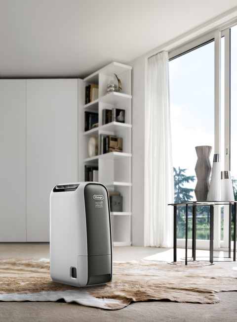 De'Longhi AriaDry Light DNS65 product in use