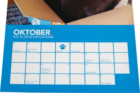 Coolblue Kattenkalender detail