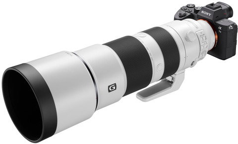 Sony FE 200-600mm f/5.6-6.3 G OSS product in gebruik