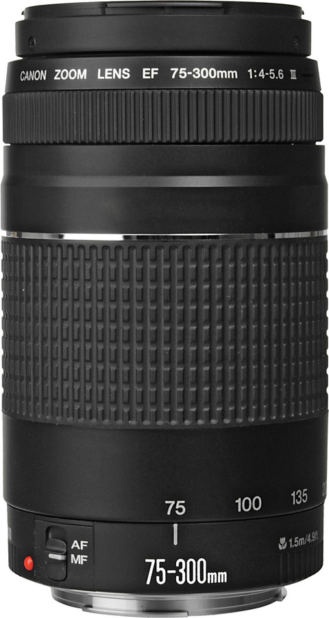 Canon EF 75-300mm f/4.0-5.6 III Main Image