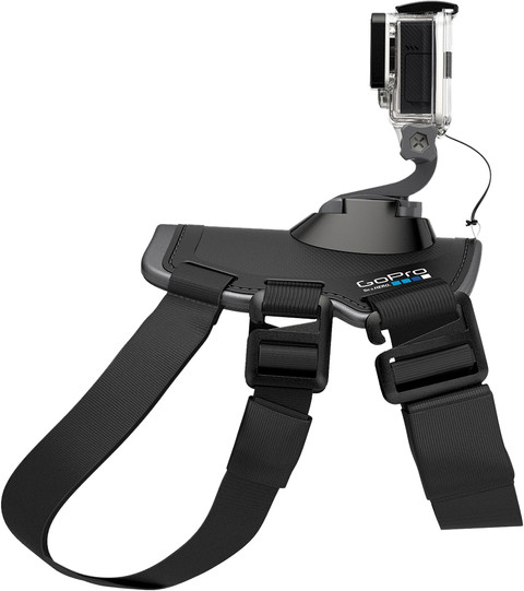 GoPro Fetch Dog Harness Main Image