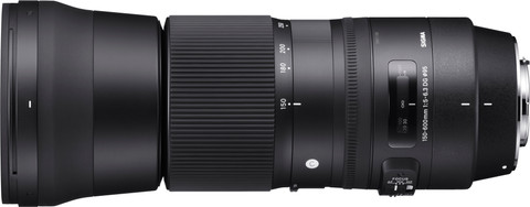 Sigma 150-600mm f/5-6.3 DG OS HSM C Nikon Main Image