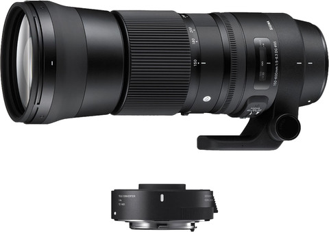 Sigma 150-600mm f/5-6.3 DG OS HSM C Canon EF + TC-1401  1.4x Main Image