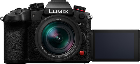 Panasonic Lumix DC-GH6 + 12-60 mm f/2.8-4.0 null