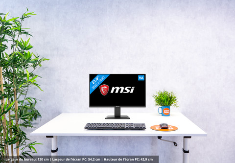 MSI Pro MP2412 null