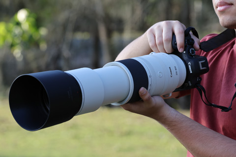 Canon RF 200-800mm f/6.3-9 IS USM product in gebruik