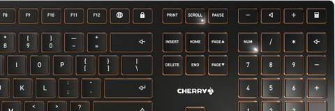 CHERRY DW 9100 SLIM Desktop Draadloze Toetsenbord en Muis Set Qwerty Zwart detail