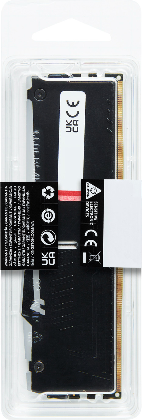 Kingston FURY Beast RGB EXPO 32GB (2x16GB) DDR5 DIMM CL30 6.000 MHz verpackung