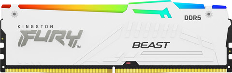 Kingston FURY Beast RGB EXPO 32GB (2x16GB) DDR5 DIMM CL30 6.000 MHz vorne