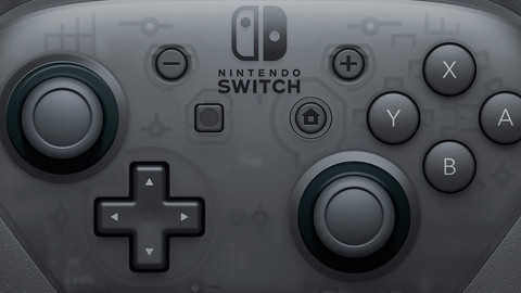 Nintendo Switch Pro Controller detail