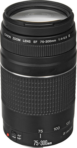 Canon Ef 75 300mm F 4 0 5 6 Iii Coolblue Voor 23 59u Morgen In Huis