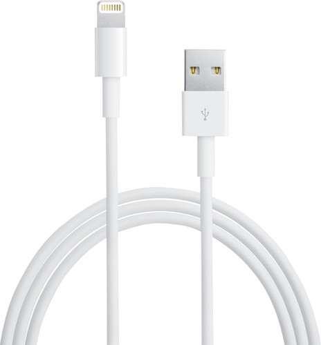 Gesprekelijk Station piramide Apple Lightning naar Usb A Kabel 1 Meter - Coolblue - Voor 23.59u, morgen  in huis