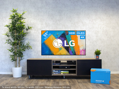 LG OLED55GX6LA (2020) 